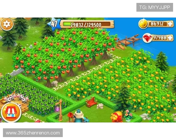 牛牛在线玩多种游戏模式任选,满足不同玩家的娱乐需求